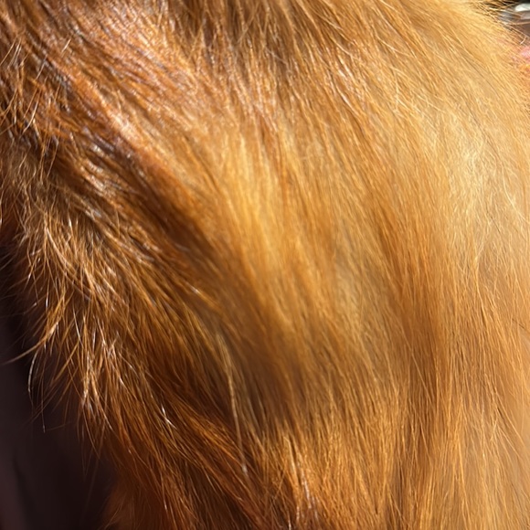 Fabulous Vintage Milly Wool Coat - Picture 3 of 6